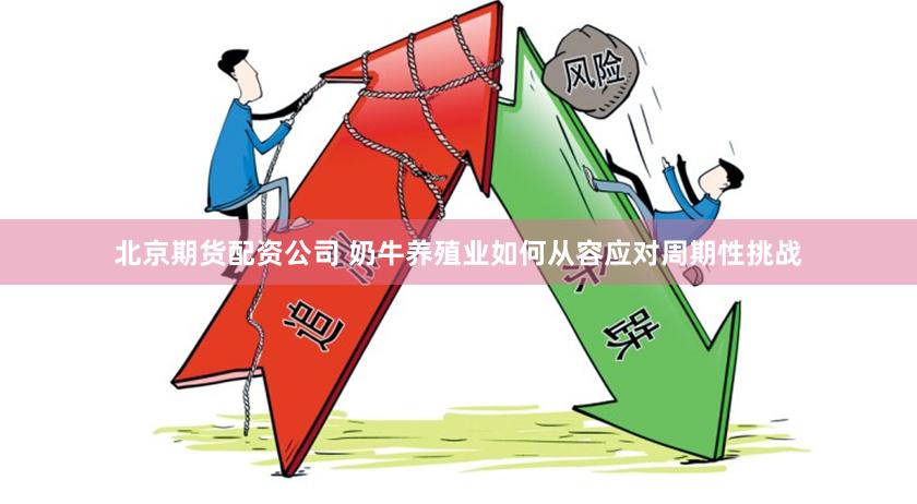 北京期货配资公司 奶牛养殖业如何从容应对周期性挑战